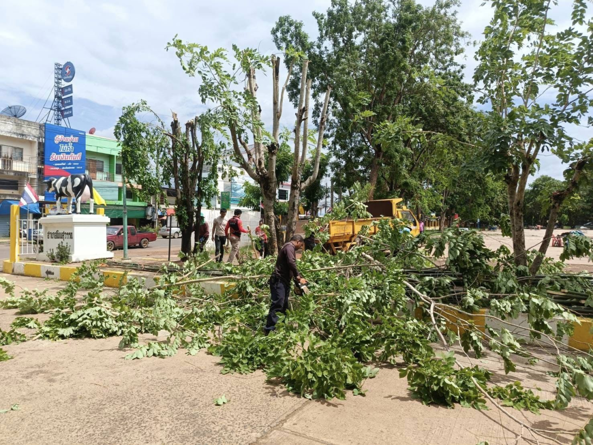 ตัดแต่งกิ่งไม้ที่ทางเข้าที่ว่าการอำเภอโนนสุวรรณ