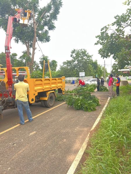 ออกตัดแต่งกิ่งต้นไม้ บริเวณถนนรอบเมืองที่อยู่ใกล้สายไฟฟ้าหรือสายสื่อสารภายในเขตเทศบาลตำบลโนนสุวรรณ